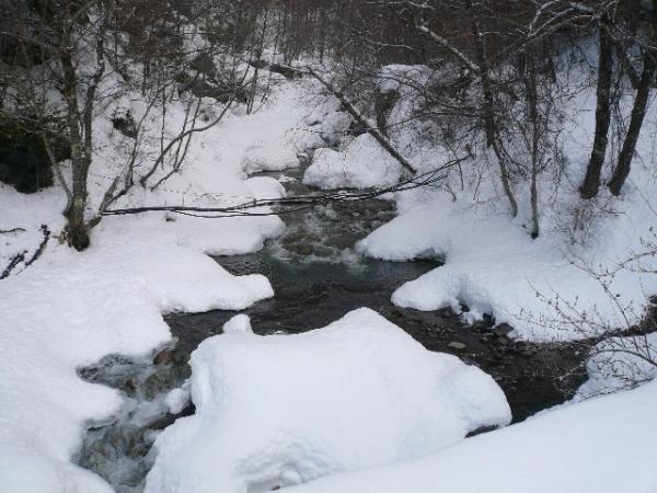 春はまだまだ先のようです